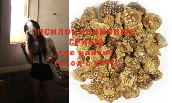 амф Аркадак
