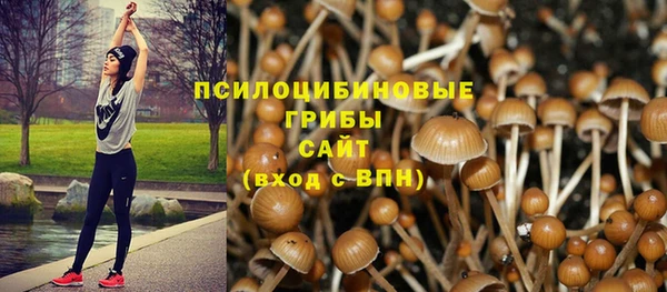 амф Аркадак