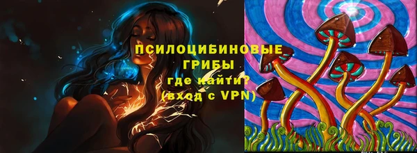 амф Аркадак