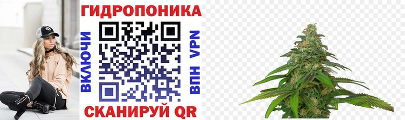 Канабис Ganja  где купить наркотик  Камбарка 